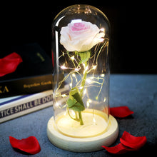 Load image into Gallery viewer, rose LED lights illuminate your heart, Christmas and Valentine’s Day, Mother’s Day, New Year’s gift for girlfriend
